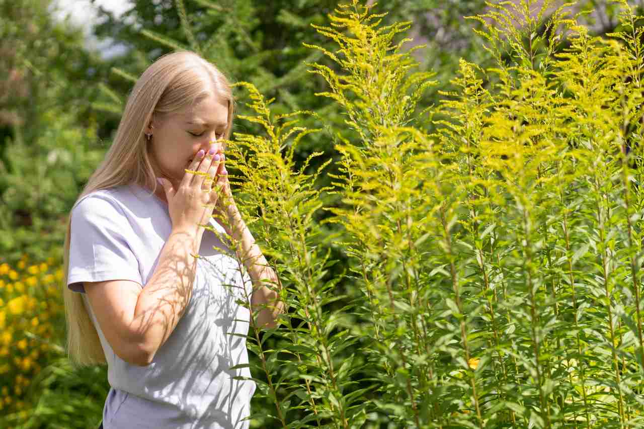 Woman sneezing in a field of ragweed