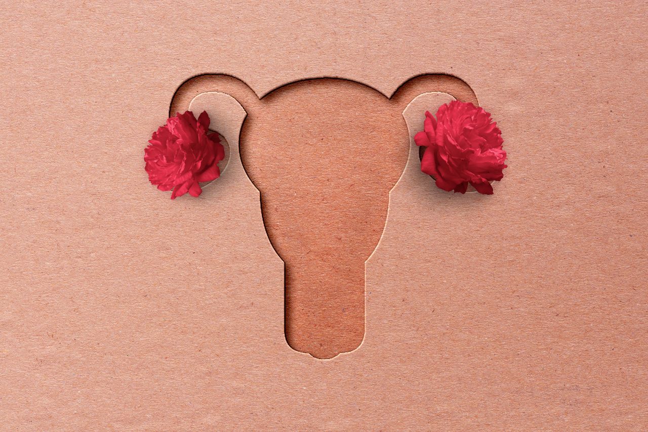 progesterone function