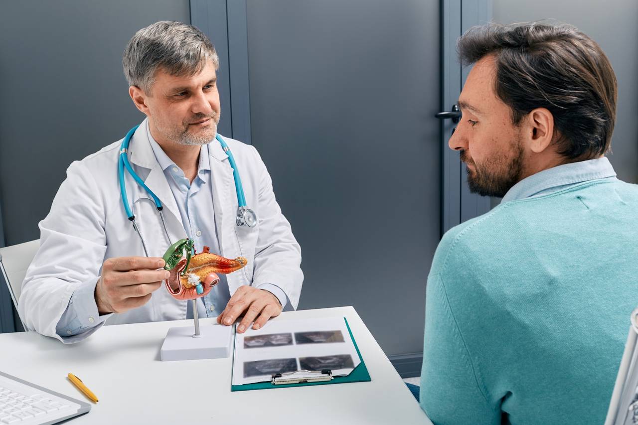 Doctor showing model to patient.