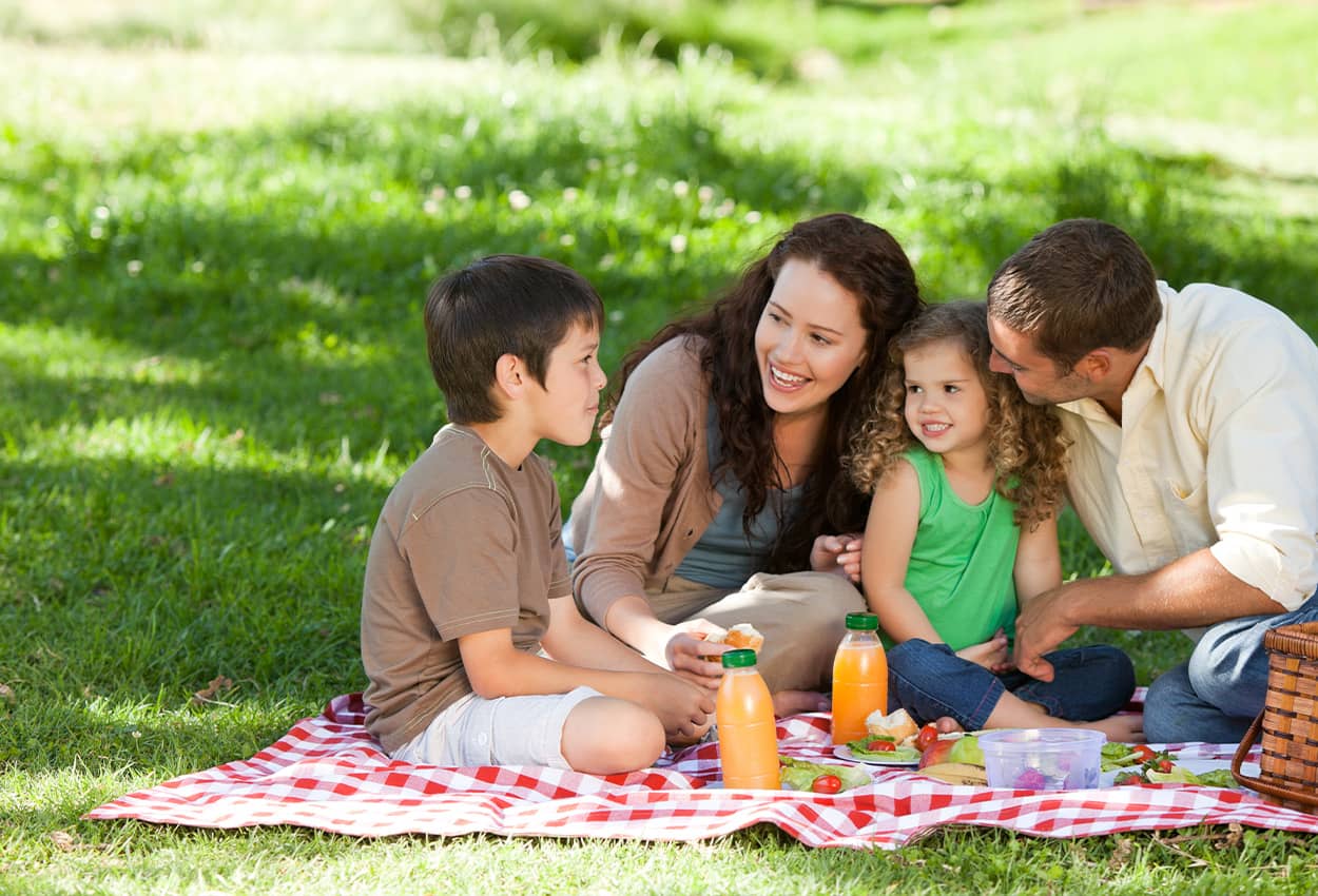 Family picnic in the park